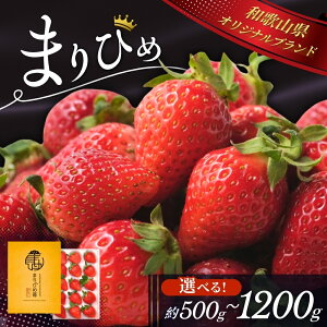 yӂ邳Ɣ[Łz ys\z  ܂Ђ Iׂe 500g`1.2kg y2025N12珇z /   a̎R ʕ t[c   ① ~ Mtg  ƒp 12 1 2