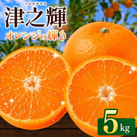 【ふるさと納税】 ＼先行予約／ 津の輝（つのかがやき）5kg（2026年2月以降順次発送予定） / みかん 津の輝 柑橘 かんきつ フルーツ 果物 紀州産 和歌山県 田辺市