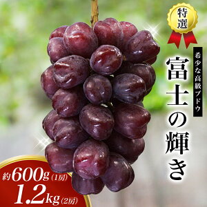 �y�ӂ邳�Ɣ[�Łz�������ҏ����I���y��s�\��z ���I �x�m�̋P�� 1�[ 2�[��2026�N9���������\�� / �u���b�N�V���C�� �V���C�� �x�m�̋P ���� �u�h�E �c�ӎs �a�̎R��