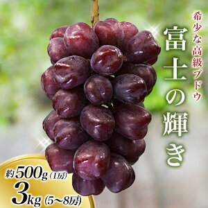 yӂ邳Ɣ[Łz̏ !ys\zxm̋P 1[ 5`8[2026N9\ / ubNVC VC xm̋P  uhE cӎs a̎R