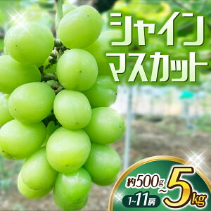 yӂ邳Ɣ[Łz VC}XJbg yIׂeʁz 1[ 2[ 8`11[ / Ԃǂ }XJbg  uhE cӎs a̎R