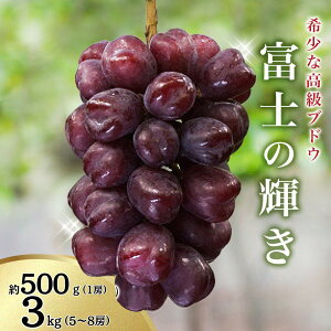 yӂ邳Ɣ[Łz̏ !ys\zxm̋P 1[ 5`8[2026N9\ / ubNVC VC xm̋P  uhE cӎs a̎R