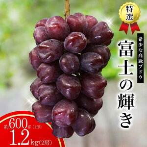 yӂ邳Ɣ[ŁzҏIys\z I xm̋P 1[ 2[2026N9\ / ubNVC VC xm̋P  uhE cӎs a̎R