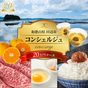 �y�c�ӎs�R���V�F���W���z�ԗ�i���܂����I�񕍊z20���~�R�[�X / �a�̎R �c�ӎs �R���V�F���W�� �݂��� �~���� �F�싍 �F���