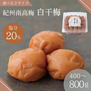 yӂ邳Ɣ[Łz~i20jIׂe / a̎R cӎs ~ ~ ~    ɂ ނ N  20 ٓ  Ē IBY