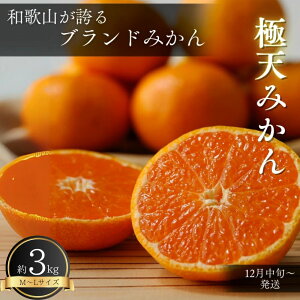 yӂ邳Ɣ[ŁzJAIuh@_Ǝ́uɓV݂(؏n)v 3kg (M~LTCY) 12{`\yԌEs\E12/21܂Łz / cӎs B݂ ݂ ~J ؏n݂