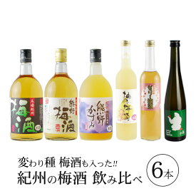 【ふるさと納税】紀州の梅酒 飲み比べ 6本セット 熊野梅酒 本場紀州梅酒 熊野かすみ 柚子梅酒 ゼリー梅酒 りんご梅酒