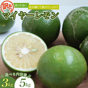 yӂ邳Ɣ[Łz 󂠂 Y ʌ }C[ 3kg܂5kg y2025N10`2026N1{̊Ԃŏz /  Y }C[ ʌ 󂠂