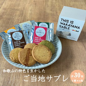 【ふるさと納税】 THIS IS WAKAYAMA SABLE サブレ 計30枚入り / サブレ ご当地 南高梅 有田みかん 醤油 緑茶 牛乳