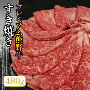 yӂ邳Ɣ[Łz v~AF싍 Ă Ղ480g / Ă  Ă   蕨