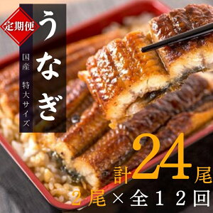 yӂ邳Ɣ[Łz yS12ցz^TCY ӂ_炩 YȂĂ 2×12 v24 4080g / Ȃ EiM V Y  Ă  lC  ӂ邳Ɣ[