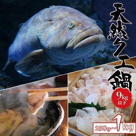 【ふるさと納税】 数量限定 天然 クエ 9kg 以下 クエ鍋セット 選べる1人前から4人前【2026年11月下旬から2027年2月下旬までに順次発送致します。】 / 高級 海鮮 お魚 魚 くえ鍋 クエ鍋 くえ くえ天然 海産物