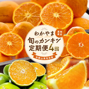 yӂ邳Ɣ[Łz yS4za̎R{̃JLcցySEMELzTCYIׂ@3E5E9E11iƒpjkCEꌧEւ̔zs / t̊k Ă̊k ؂ Lc