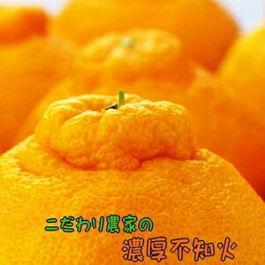 yӂ邳Ɣ[Łz ys\z_Ƃ̔Zsm 5kg (12`24) ݂ ~J  ʕ t[c Y 2026N2{`3{ɏ\ ws