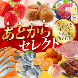 【ふるさと納税】 あとからセレクト 【ふるさとギフト】 選べる金額 シャケ サバ 鮭 鯖 サケ みかん 梅干し 梅酒 牛肉 海鮮 海の幸 柑橘 フルーツ 訳あり 駆け込み 後から選べる ゆっくり選べる 送料無料 定期便 【 和歌山県 新宮市 】