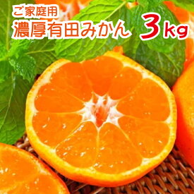 【ふるさと納税】 農園直送！完熟有田みかん 約3kg ※2024年11月～12月に発送予定（お届け日指定不可）