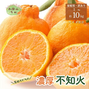 yӂ邳Ɣ[ŁzLc炿̕sm(ƒp)(ʏ̃fR|) 1kg 2.5kg 5kg 10kg 2026N1{`3{\