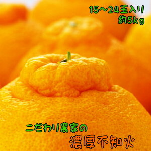 yӂ邳Ɣ[Łz ys\z_Ƃ̔Zsm΁ifR|Ɠij 5kg (15`24) 2026N2{`3{ɏ\ ws