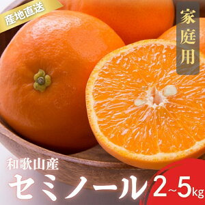 yӂ邳Ɣ[Łz ys\zƒp Z~m[ a̎R Lc S`2LTCY 傫C 2kg / 3kg / 5kgy4{`5{ɏz/ ݂ t[c ʕ   k