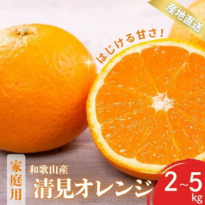 yӂ邳Ɣ[Łz ys\z󂠂  IW a̎R Lc S`2LTCY 傫C 2kg / 3kg / 5kg y2{`3{ɏz/ ݂ t[c ʕ   k