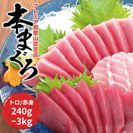 【ふるさと納税】【配達指定日不可】 【容量・発送時期が選べる】本マグロ（養殖）トロ＆赤身セット 240g 500g 1350g 3kg / まぐろ マグロ 鮪 赤身 冷凍 中トロ 中とろ 海鮮 柵