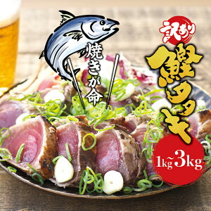 yӂ邳Ɣ[ŁzyN\tIz 󂠂 mĂ ̂ 1kgE1.5kgE3kg (t) /  A  JcI ^^L JcÎ ̂  hg