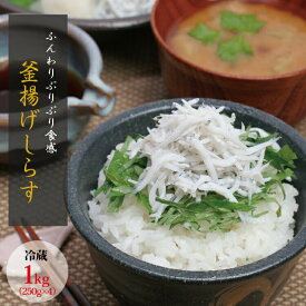 【ふるさと納税】 茹でたて釜揚げしらす 1kg(250g×4パック)【冷蔵】