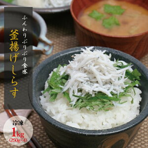 yӂ邳Ɣ[Łz 䥂łĊg炷 1kg(250g×4pbN)yⓀz