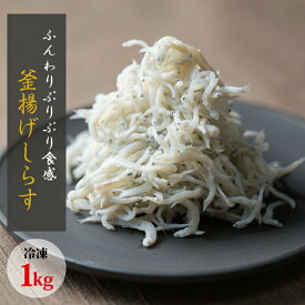 【ふるさと納税】 茹でたて釜揚げしらす 1kg箱入り【冷凍】