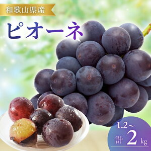 yӂ邳Ɣ[Łz ys\zsI[la̎RY 1.2kg (2`3[) / 2kg (3`5[) y2025N8{`9{܂łɏitwsjz | Ԃǂ  uhE Yn _ƒ t[c 