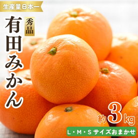 【ふるさと納税】 紀州 有田みかん 秀品 3kg（L・M・Sサイズおまかせ） 温州みかん ミカン 蜜柑 柑橘 フルーツ ※2025年11月下旬～2026年1月中旬頃　順次発送予定