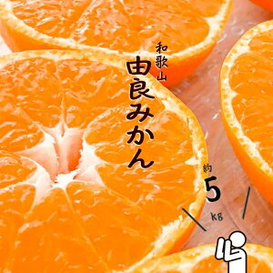 yӂ邳Ɣ[Łza̎RRǂ݂@Gi@5kg@TCY܂(LEMES)