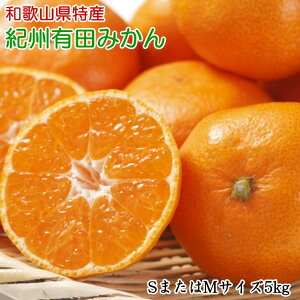 yӂ邳Ɣ[Łz [Gi] a̎RLc݂ 5kg(STCY܂MTCŶꂩ) 2025N11{`2026N1{\i͂wsj