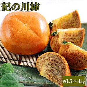yӂ邳Ɣ[Łz y󏭁zI̐`(햳)3.5`4kgEGi2025N10{`2025N11{ɏi͂wsj