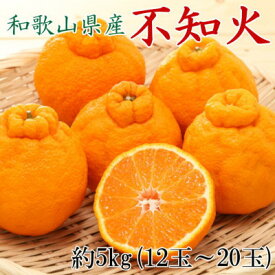 【ふるさと納税】 和歌山県産 不知火 約5kg（12玉〜20玉おまかせ） ※2026年2月下旬～2026年4月中旬頃に順次発送予定（日付指定不可）