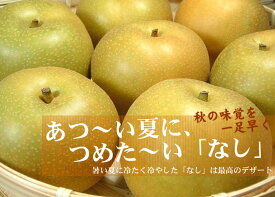 【ふるさと納税】 和歌山の梨（なし）豊水品種 約4kg【秀品：サイズおまかせ】和歌山県産 フルーツ 紀伊国屋文左衛門本舗 / 梨 なし ナシ 豊水 ほうすい