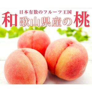 【ふるさと納税】 紀州和歌山産の桃 15玉 化粧箱入 ※2026年6月下旬頃〜2026年8月上旬頃順次発送(お届け日指定不可)