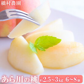 【ふるさと納税】【先行予約】【大玉】 あら川の桃 約2.5kg〜3kg(6-8個※1個300g以上) 橋村農園《2026年7月上旬-8月上旬頃出荷》和歌山県 紀の川市