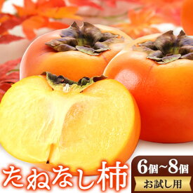 【ふるさと納税】お試し用 極めて甘い たねなし柿 6〜8個 約1kg 橋村農園《2026年9月中旬-10月中旬頃出荷》 和歌山県 紀の川市 柿 カキ かき 刀根早生柿 平核無柿 果物 フルーツ 送料無料