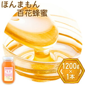 yӂ邳Ɣ[Łzق܂SԖI 1200g×1{ {Is90ȓɏoח\(yj)ta̎R I̐s