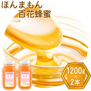 yӂ邳Ɣ[Łzق܂SԖI 1200g×2{ {Is90ȓɏoח\(yj)ta̎R I̐s