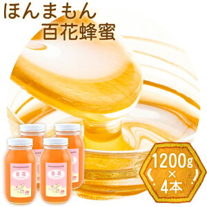 yӂ邳Ɣ[Łzق܂SԖI 1200g×4{ {Is90ȓɏoח\(yj)ta̎R I̐s