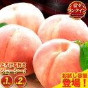 お試し1kg登場 じゅわっと溢れる果汁と濃厚な甘さ ブラン...