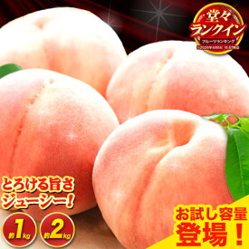 【ふるさと納税】お試し1kg登場 じゅわっと溢れる果汁と濃厚な甘さ ブランド品種 あら川の桃!! 桃 もも 紀州の名産 旬の桃厳選 約2kg 5-8玉入り 《2026年6月中旬-8月中旬頃出荷》 紀の川 あらかわ 白鳳 日川白鳳 八旗白鳳 清水白桃 川中島白桃 荒川 あら川の桃 和歌山の桃