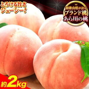 yӂ邳Ɣ[Łzƈʏ`ƔZȊÂ uhi ̓!!   IB̖Y {̓I 2kg 5-8ʓ s2026N6{-8{oׁt I̐ 炩 P 씒