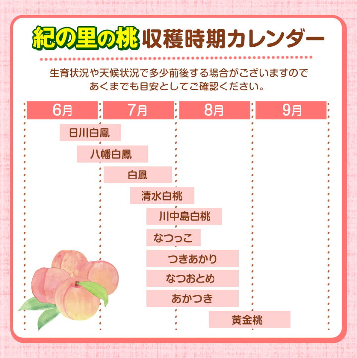 ふるなび ふるさと納税 7月発送 約4kg 和歌山県かつらぎ町 和歌山の厳選白桃