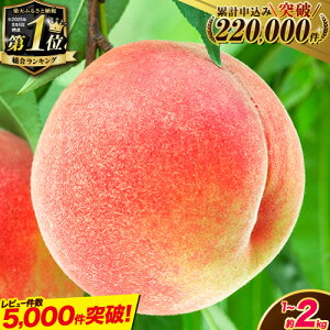 yӂ邳Ɣ[Łz4NA 1ʊl!! r[ S̃N[ 1kg(3`5) or 2kg(6`8) r[ y2026Ns\zs2026N6{-8{oׁt   ʕ P 