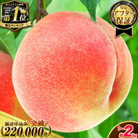 【ふるさと納税】アフター保証付 4年連続 総合1位獲得! 高レビュー続出 ...