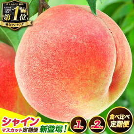 【ふるさと納税】4年連続総合1位獲得! 高レビュー続出 食べ比べ定期便 紀の里の桃 シャインマスカット お試し約1kg(3～5玉) or 約2kg(6〜8玉) orシャインマスカット付定期便《2026年6月中旬-8月中旬頃出荷》桃 もも 果物 白鳳 日川白鳳 清水白桃 川中島白桃 なつっこ