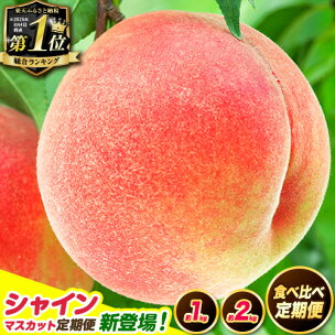 4年連続総合1位獲得! 高レビュー続出 食べ比べ定期便 紀...
